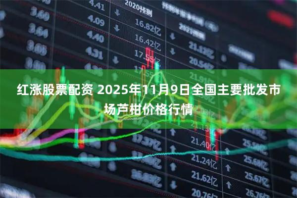 红涨股票配资 2025年11月9日全国主要批发市场芦柑价格行情